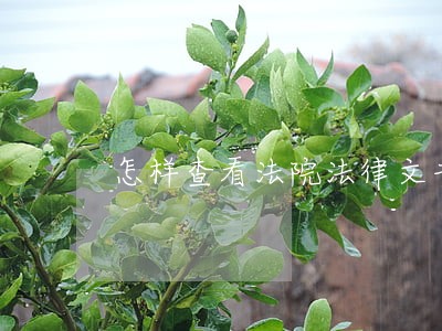 怎样查看法院法律文书