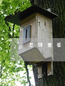 怎样查看自己的信用卡逾期 怎样查看自己的信用卡逾期