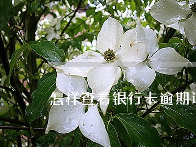 怎样查看银行卡逾期记录查询 怎样查看银行卡逾期记录查询