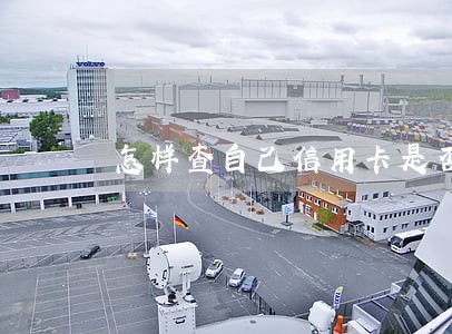 怎样查自己信用卡是否逾期 怎样查自己信用卡是否逾期