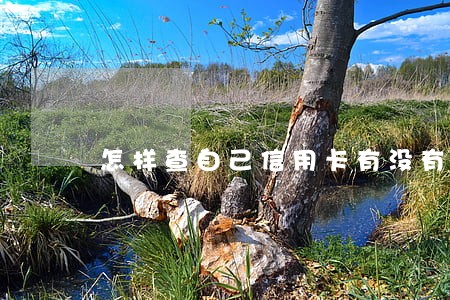 怎样查自己信用卡有没有逾期 怎样查自己信用卡有没有逾期