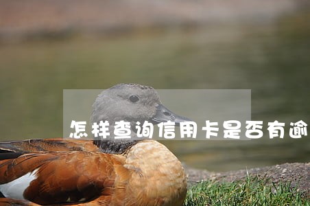 怎样查询信用卡是否有逾期记录