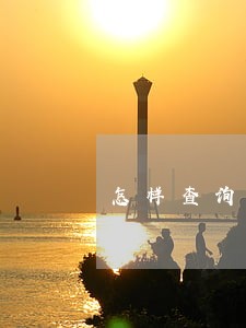 怎样查询信用卡逾期多久上征信 怎样查询信用卡逾期多久上征信