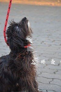 怎样查询信用卡逾期多少天