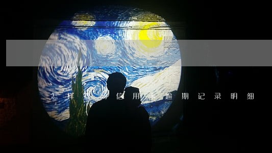 怎样查询信用卡逾期记录明细