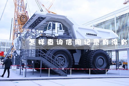 怎样查询信用记录有没有逾期 怎样查询信用记录有没有逾期