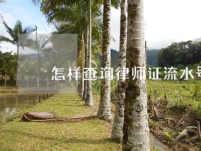 怎样查询律师证流水号 怎样查询律师证流水号