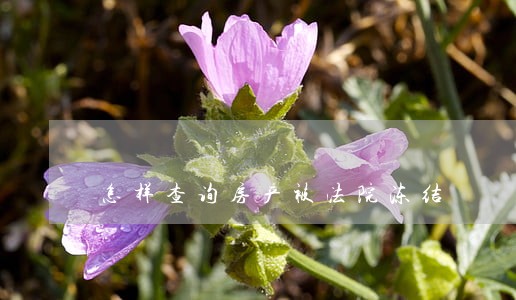 怎样查询房产被法院冻结 怎样查询房产被法院冻结