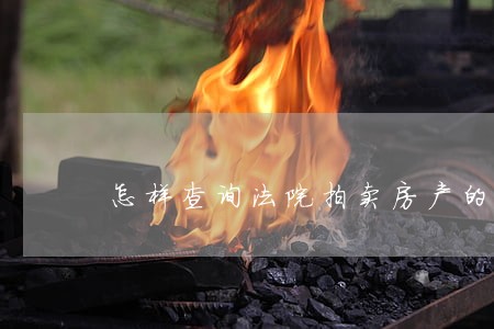 怎样查询法院拍卖房产的公告