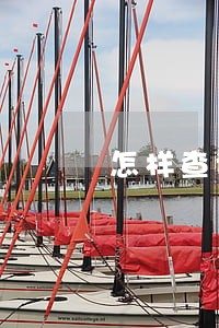 怎样查询网贷逾期未还 怎样查询网贷逾期未还