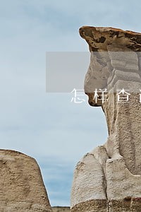 怎样查询逾期的网贷 怎样查询逾期的网贷