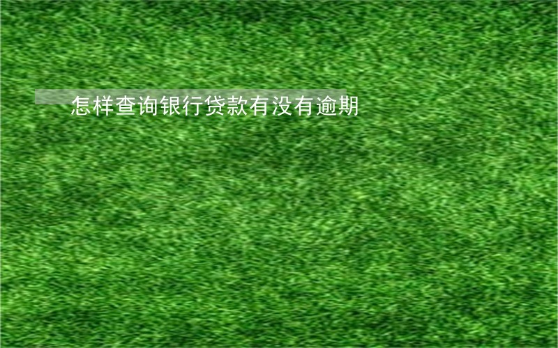 怎样查询银行贷款有没有逾期 怎样查询银行贷款有没有逾期