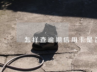 怎样查逾期信用卡是否呆账