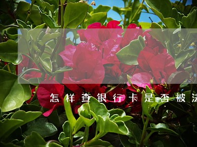 怎样查银行卡是否被法院冻结 怎样查银行卡是否被法院冻结