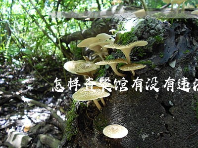 怎样查餐馆有没有违法 怎样查餐馆有没有违法
