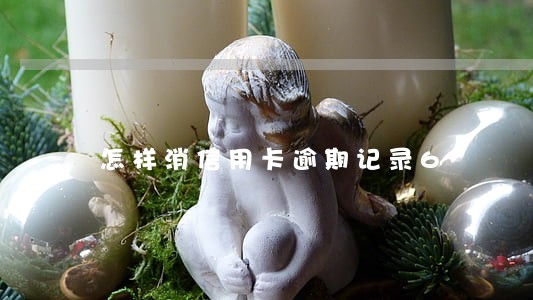 怎样消信用卡逾期记录6
