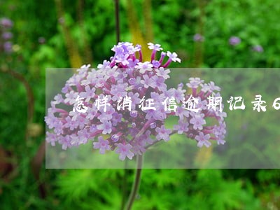 怎样消征信逾期记录6 怎样消征信逾期记录6