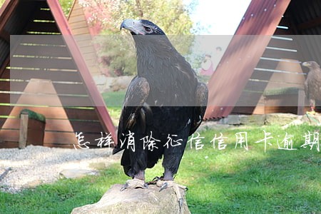 怎样消除征信信用卡逾期记录 怎样消除征信信用卡逾期记录