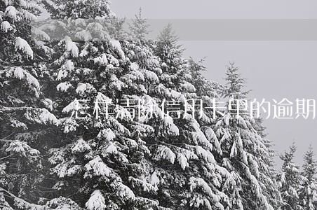 怎样清除信用卡里的逾期记录