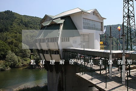 怎样理解经济法主体的形式和类型