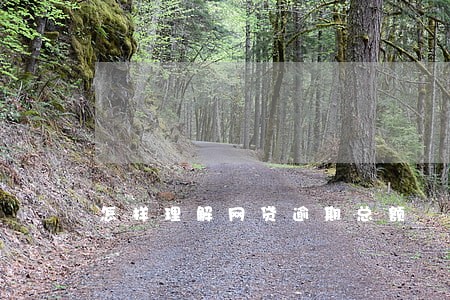 怎样理解网贷逾期总额 怎样理解网贷逾期总额