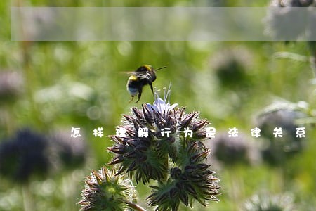 怎样理解行为是法律关系的客体 怎样理解行为是法律关系的客体