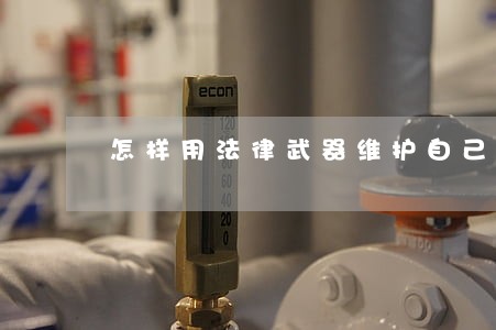 怎样用法律武器维护自己的权益 怎样用法律武器维护自己的权益