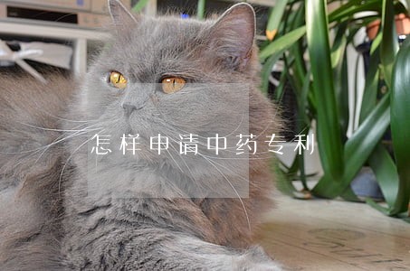 怎样申请中药专利 怎样申请中药专利