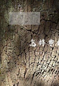 怎样申请法律咨询公司 怎样申请法律咨询公司