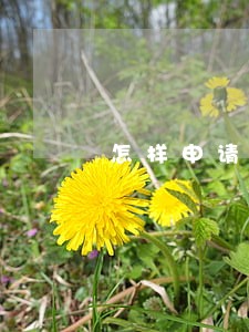 怎样申请法律援助程序 怎样申请法律援助程序