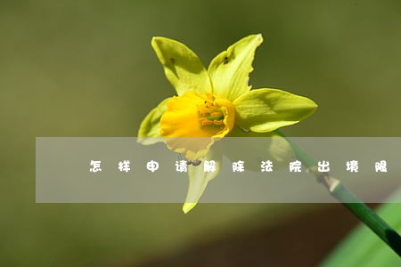 怎样申请解除法院出境限制 怎样申请解除法院出境限制