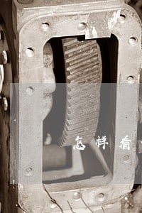 怎样看信用卡逾期记录