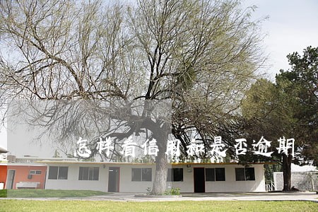 怎样看信用和是否逾期 怎样看信用和是否逾期