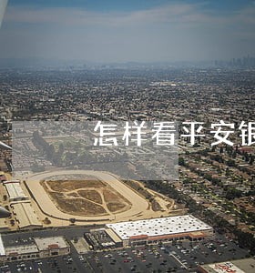 怎样看平安银行信用卡是否逾期 怎样看平安银行信用卡是否逾期