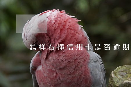 怎样看懂信用卡是否逾期 怎样看懂信用卡是否逾期