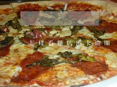 怎样看懂信用卡逾期