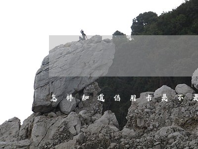 怎样知道信用卡是不是逾期了 怎样知道信用卡是不是逾期了