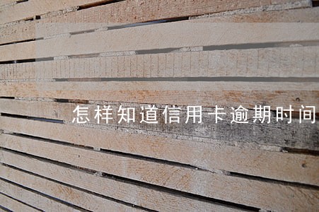 怎样知道信用卡逾期时间