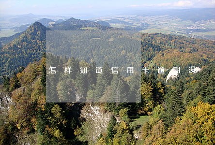怎样知道信用卡逾期没 怎样知道信用卡逾期没