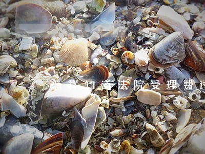 怎样知道法院受理费过高 怎样知道法院受理费过高