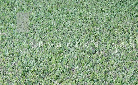 怎样知道自己信用卡有没有逾期