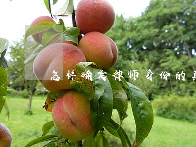 怎样确定律师身份的真假 怎样确定律师身份的真假