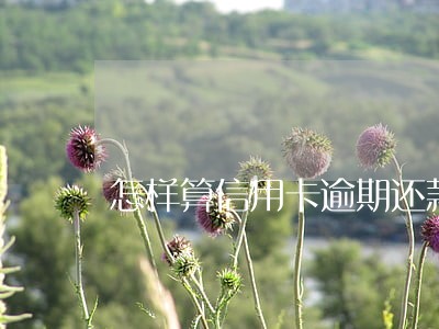 怎样算信用卡逾期还款