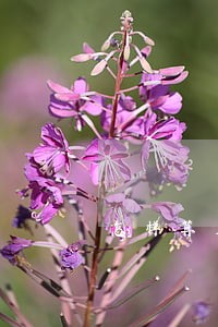 怎样算房产继承诉讼费 怎样算房产继承诉讼费