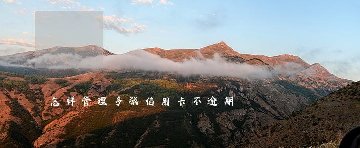 怎样管理多张信用卡不逾期