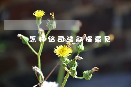 怎样给司法部提意见 怎样给司法部提意见