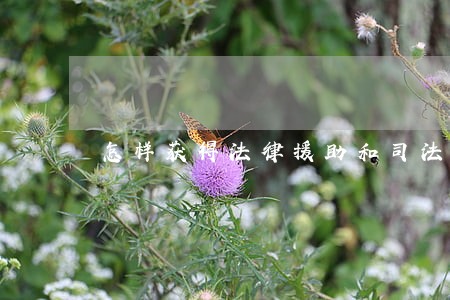 怎样获得法律援助和司法救助 怎样获得法律援助和司法救助