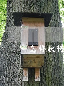 怎样获得法律顾问支持 怎样获得法律顾问支持