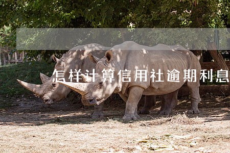 怎样计算信用社逾期利息是多少 怎样计算信用社逾期利息是多少