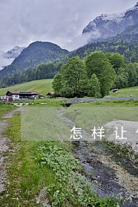 怎样让信用卡逾期的人速速还款